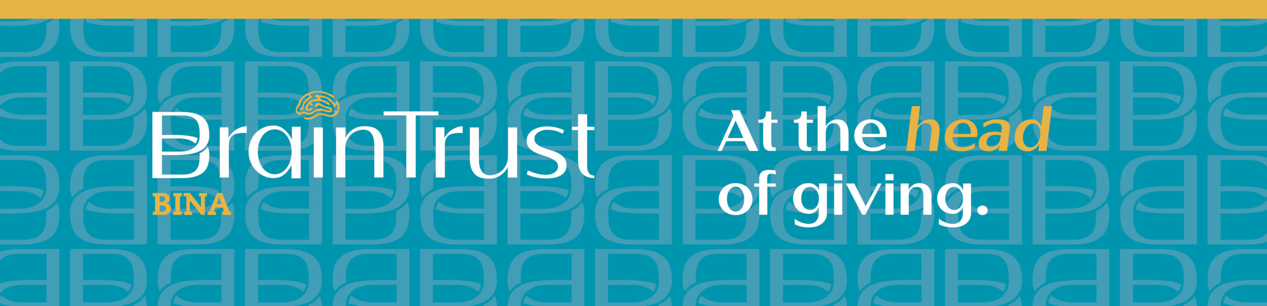 Bina BrainTrust